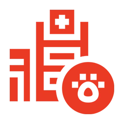 advanced care icon red