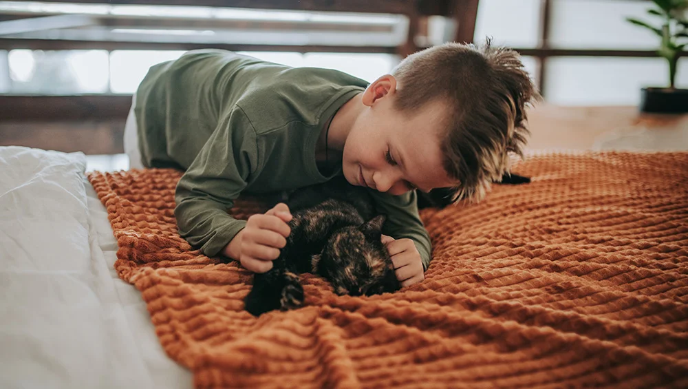 A boy pets his calico cat in his bedroom