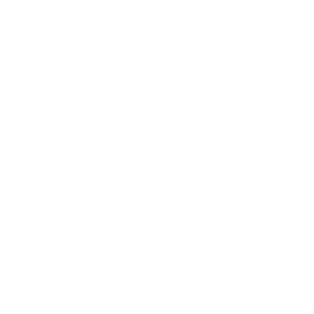 emergency icon white