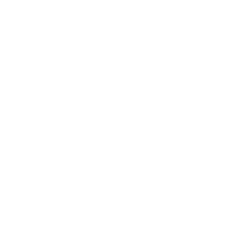 emergency icon white