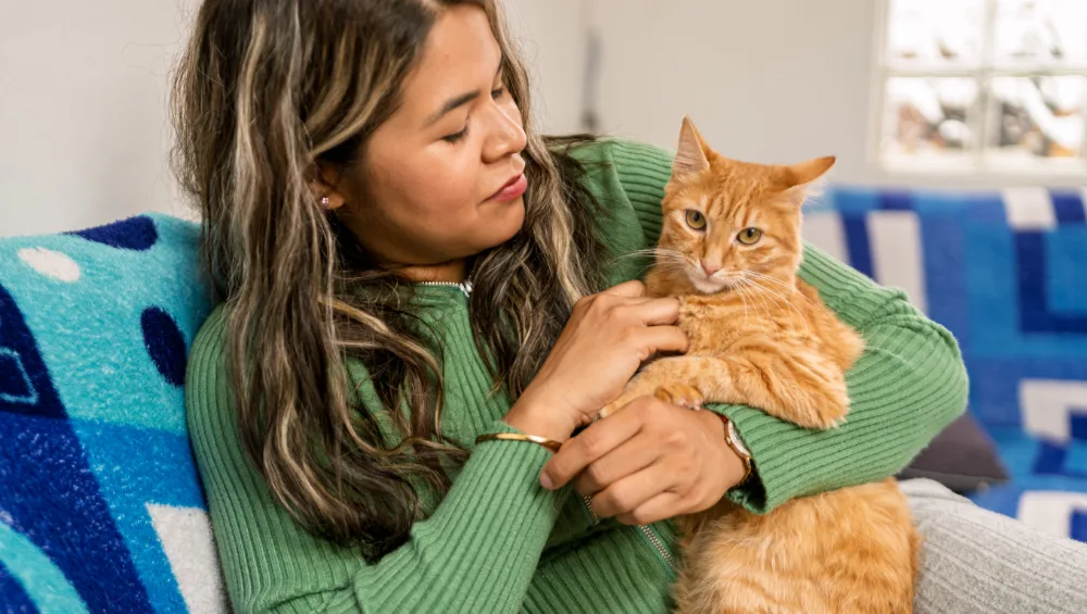 A person in a green sweater holds an orange tabby cat while sitting on a sofa with a blue and white patterned blanket.