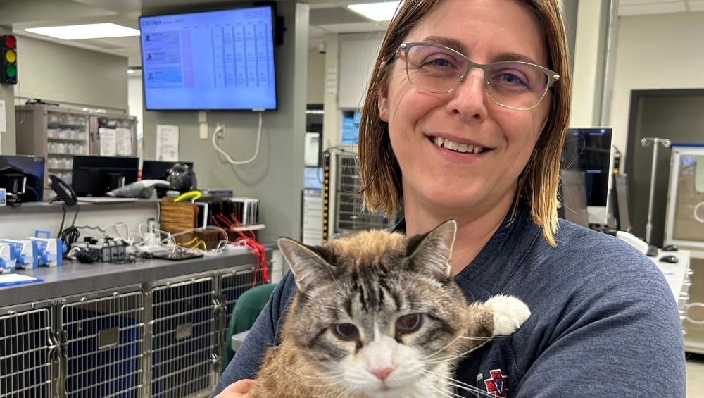 A person in a veterinary clinic smiles while holding a gray tabby cat in her arms