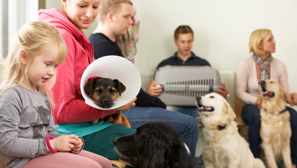 Family waits in a warm veterinary clinic: a woman holds a small dog in a cone, a child sits nearby, and two dogs relax with staff.