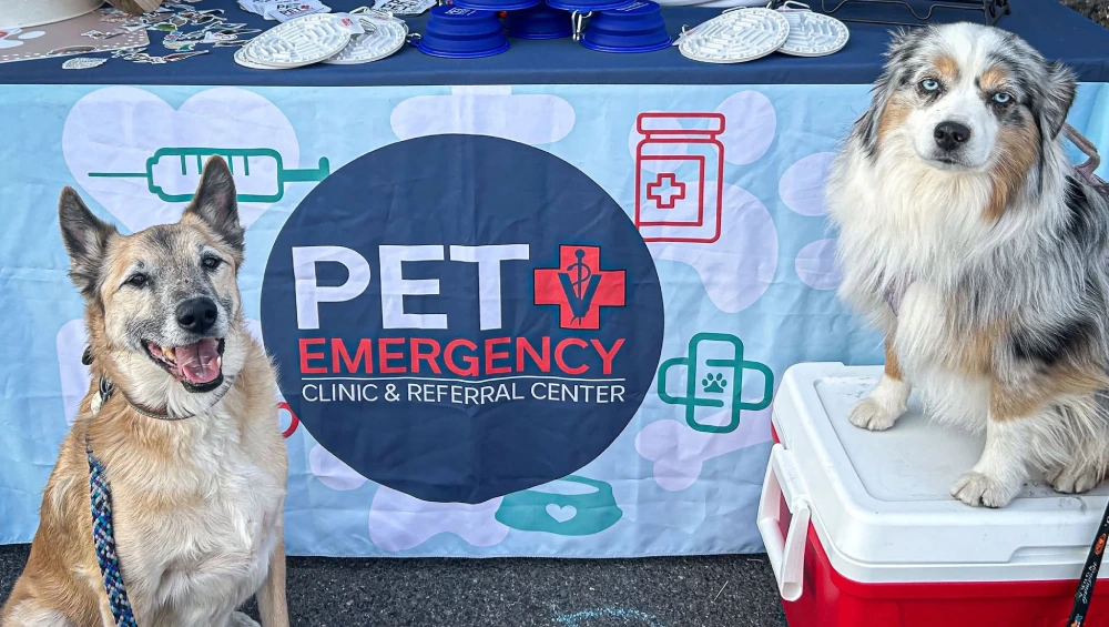 Two friendly dogs pose beside a cooler at a Pet Emergency Clinic & Referral Center booth, with colorful pet-themed displays and a welcoming tone.